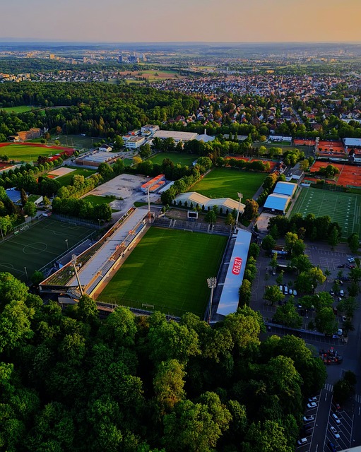 的进攻策略 的进攻策略