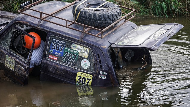 起伏的剧情 起伏的剧情