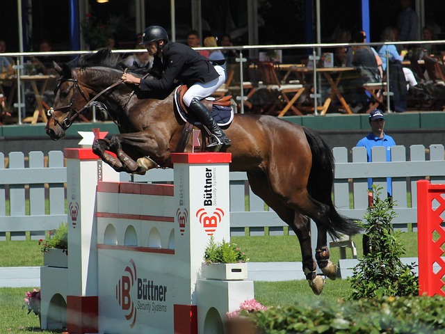 通过这个案 通过这个案