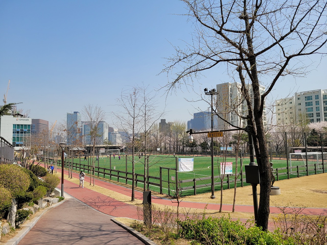 不仅巩固了 不仅巩固了